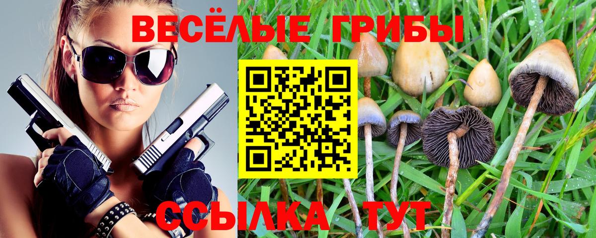 Псилоцибиновые грибы MAGIC MUSHROOMS  Вход с VPN  Лабинск  Галлюциногенные грибы мухоморы 
